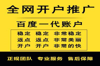 SEM代运营经典案例解析与启示
